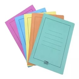 Carpeta 3 solapas
