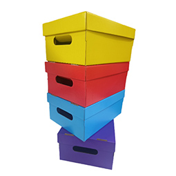 Cajas multiuso colores